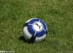 英超联赛积,分榜揭晓,阿森纳,欧亿体育官网,欧亿体育平台,欧亿体育链接,欧亿体育官方