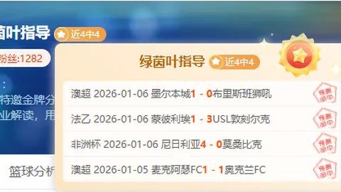 比利时国家队再迎强援：丁丁率队出征，卢卡库加盟，库尔图瓦归队备战